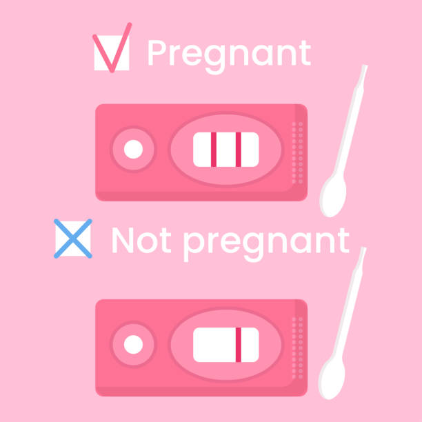 istock Vector positive and negative pregnancy tests. Home early detection pregnancy hormone. Female fertility, planning family concept. 1504511825