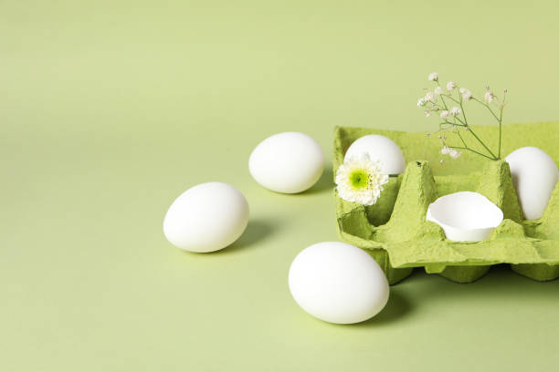 istock Concept of meal for breakfast, eggs, space for text 1504512359