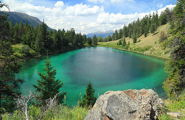 istock Turquoise Lake - Jasper National Park, Alberta 150451382