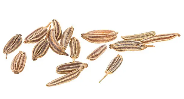 Dried cumin seeds isolated on a white background, macro.
