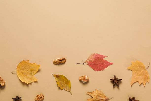 istock Concept of Autumn, Autumn composition accessories, space for text 1504526236