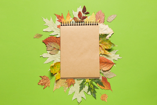 Blank notebook and leaves on green background