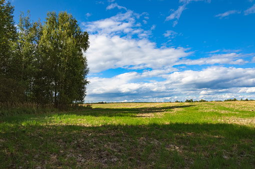 Rural landscape on a summer day. Russia Tver region.