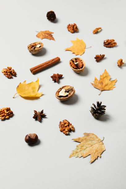 istock Concept of Autumn, Autumn composition accessories on light background 1504536799