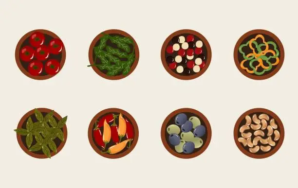 Vector illustration of natural cooking ingredients, different type of seasoning, aroma, taste. Vector illustration
