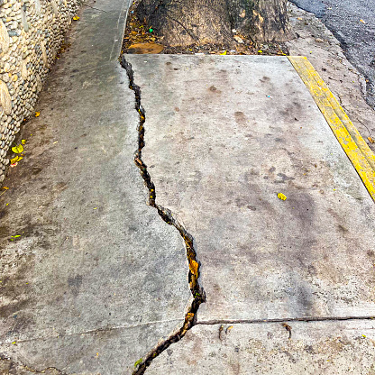 Close up view of cracked sidewalk by a tree in the city of Caracas city,Venezuela.