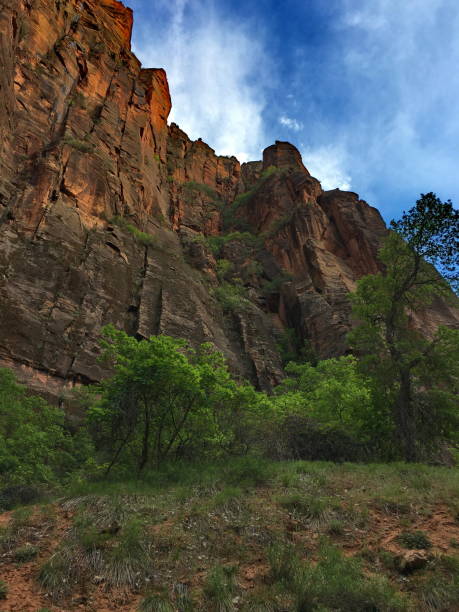 istock Zion National Park 1504548922