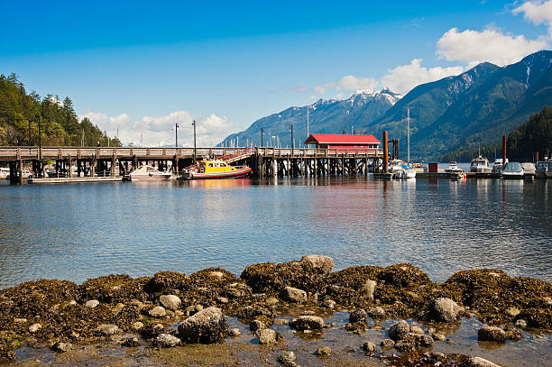 istock Horseshoe Bay, pier, British Columbia, Canada 150455270