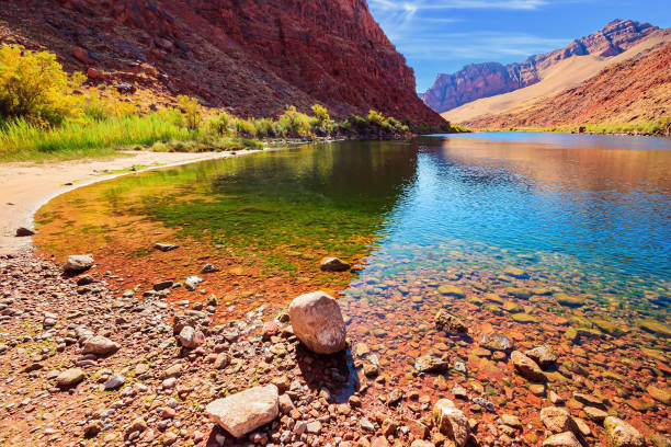 l’eau reflète les rochers escarpés. - lee ferry photos et images de collection