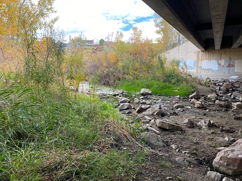 A river buried in lush fall foliage under a bridge