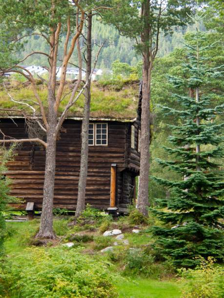 An old thatched roof small house in a hillside in Norway