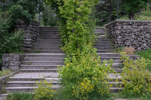 Two stairs side by side in trees, between stone walls. front view