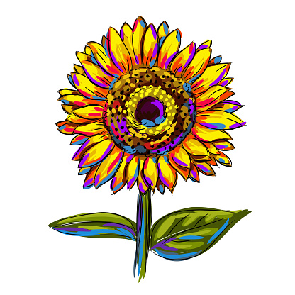 Isolated Colorful Sunflower, all elements are in separate layers and grouped.created as