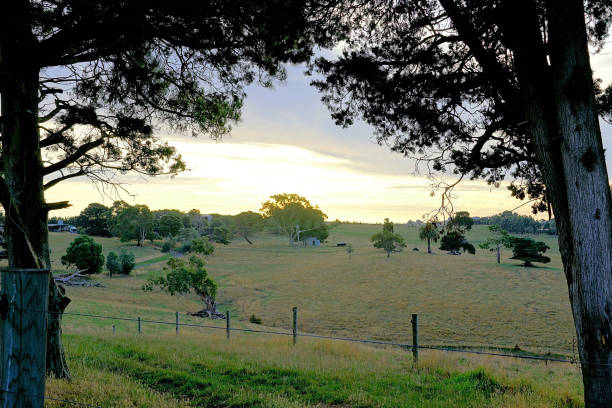 istock Kurumburra,  Victoria,  Australia 1504722390