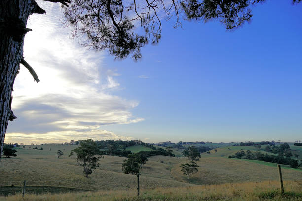 istock Kurumburra,  Victoria,  Australia 1504723440