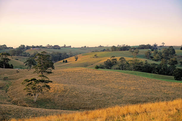 An aspect amongst the rolling hills of South Gippsland, Korumburra is a historic town currently undergoing a renaissance