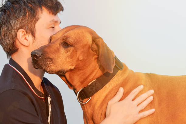 istock Man hugging dog. Young man with his dog close-up 1504738729
