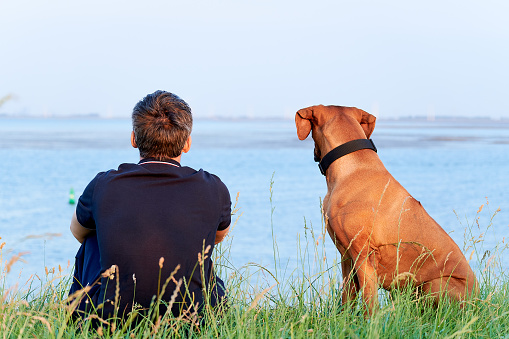Man sitting with his big brown dog on green grass and looking at sea horizon Rear view
