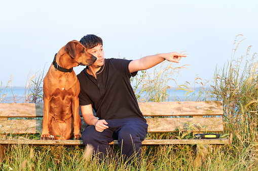 Young man sitting outdoors with his Rhodesian ridgeback dog on wooden bench and pointing finger at something ahead