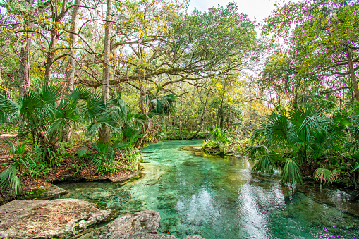 Natural freshwater spring at Kelly Rock Springs Park in Apopka, Florida just north of Orlando.