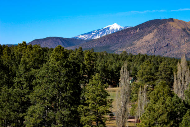 istock Mountain tops of Flagstaff 1504806029