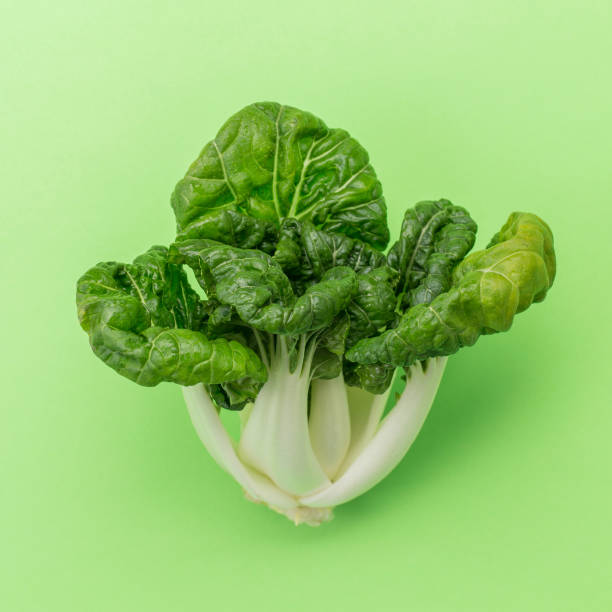 Pak choi cabbage on green background stock photo