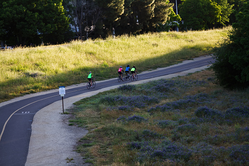 Men And Woman Riding Bikes On Bicycle Trail With Grass Trees And Plants