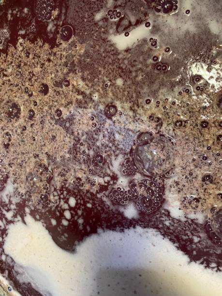 istock Bubbles formed on the surface of wine must caused by the residual carbon dioxide produced during the fermentation activity of yeast. Textures, Close up 1504820971