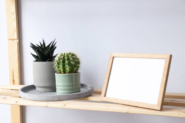 istock Cozy hobby - growing indoor plants at home 1504829062