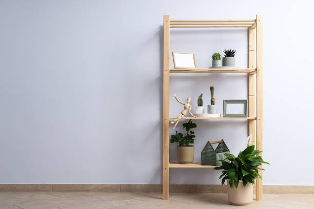 istock Cozy hobby - growing indoor plants at home 1504829701