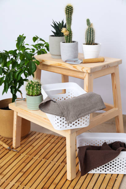 istock Cozy hobby - growing indoor plants at home 1504830242