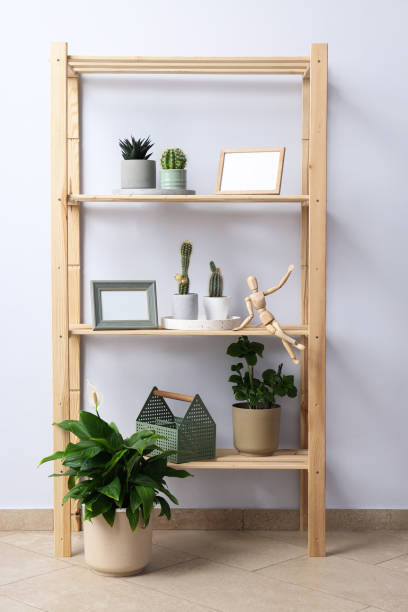 istock Cozy hobby - growing indoor plants at home 1504833038