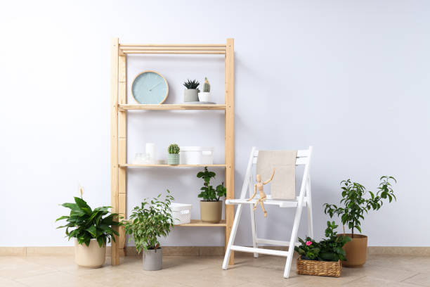 istock Cozy hobby - growing indoor plants at home 1504833562