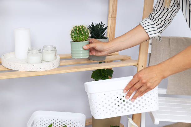 istock Cozy hobby - growing indoor plants at home 1504835166