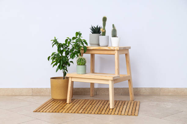 istock Cozy hobby - growing indoor plants at home 1504836302