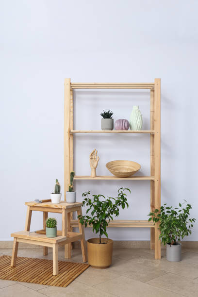 istock Cozy hobby - growing indoor plants at home 1504838023