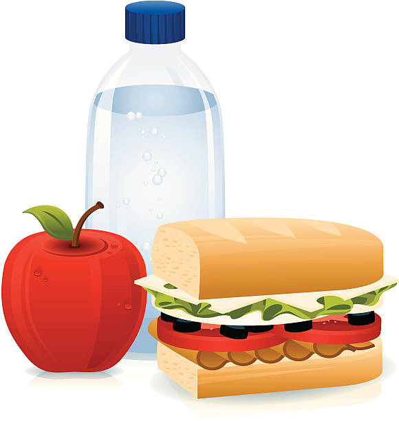 kanapka z butelka wody i jabłko - red delicious apple illustrations stock illustrations