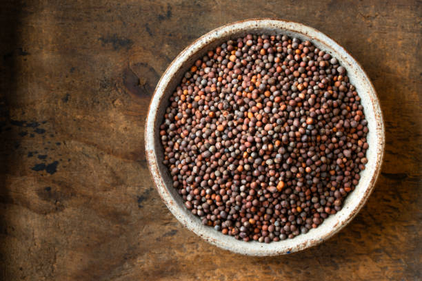 istock Broccoli Sprout Seeds in a Bowl 1504886019