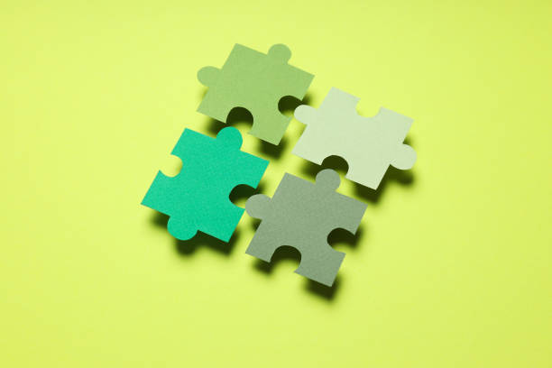 Concept of Diversity, Inclusion and Equality, Inclusion concept