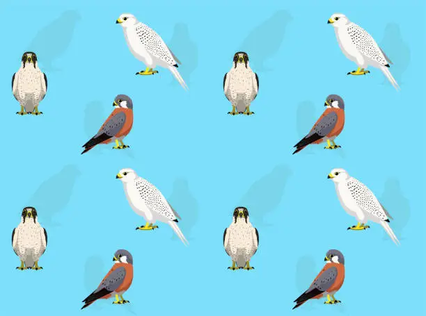 Vector illustration of Bird Falconry Gyrfalcon Set Cute Cartoon Seamless Wallpaper Background