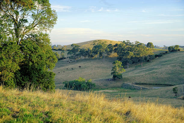 istock Kurumburra,  Victoria,  Australia 1504929136