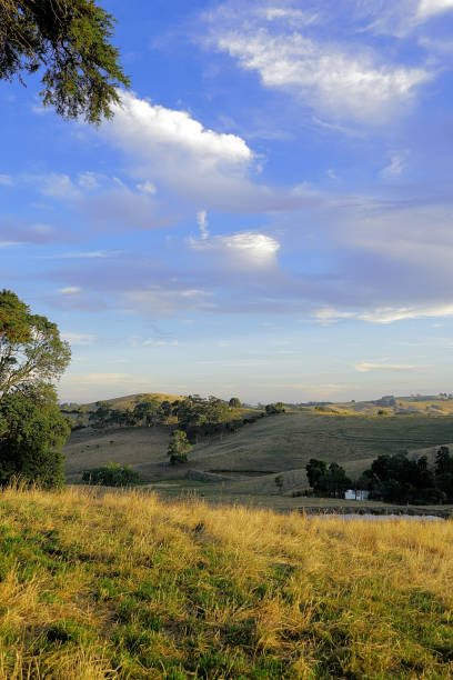 istock Kurumburra,  Victoria,  Australia 1504931213