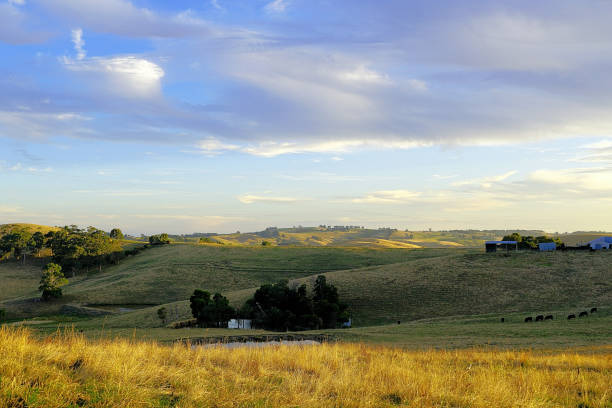 istock Kurumburra,  Victoria,  Australia 1504931222