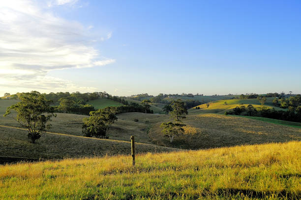 istock Kurumburra,  Victoria,  Australia 1504932294