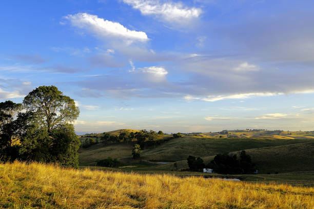 istock Kurumburra,  Victoria,  Australia 1504934416