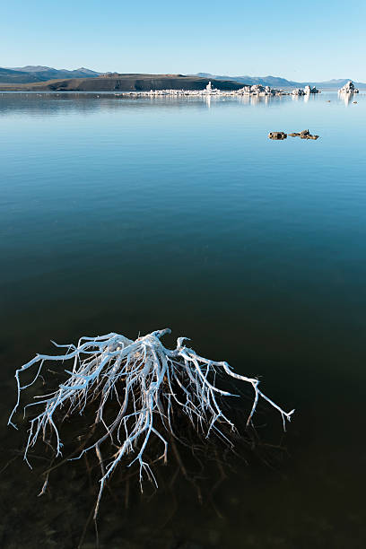 Mono Lake stock photo