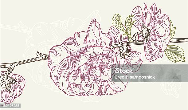 Plum Blossoms Line Art Stock Illustration - Download Image Now - Flower, Springtime, Woodcut