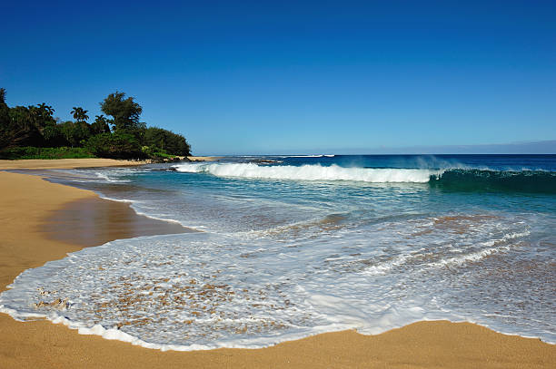 A beautiful beach scene on Kauai's north shore with the pacific ocean