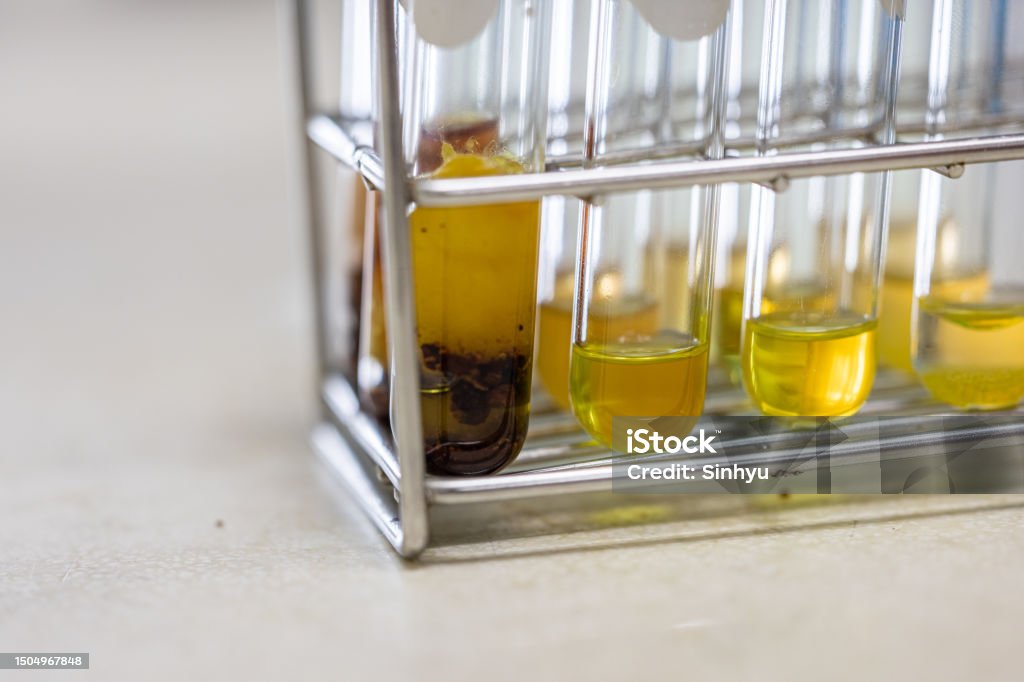Sample Extraction Lab Solvent Extraction System For Samples In The Laboratory Stock Photo ...