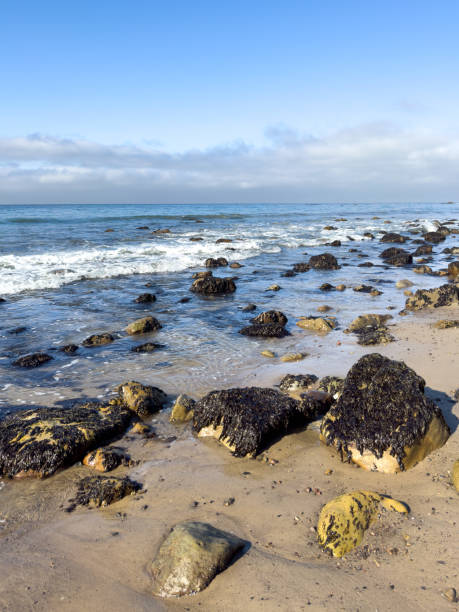 istock Beach at Low Tide - Color Portrait Format 1504999093